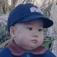 杜王佳