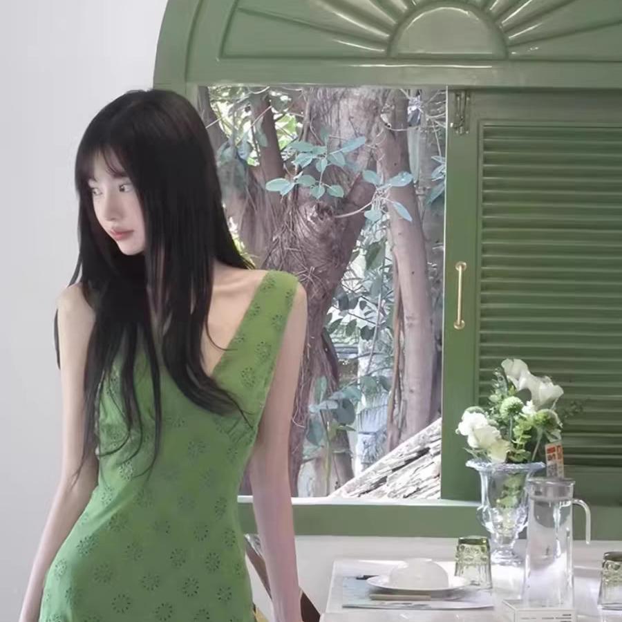 自由的风