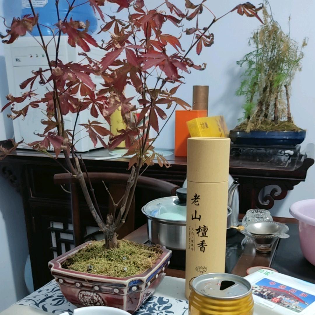 最后的战役