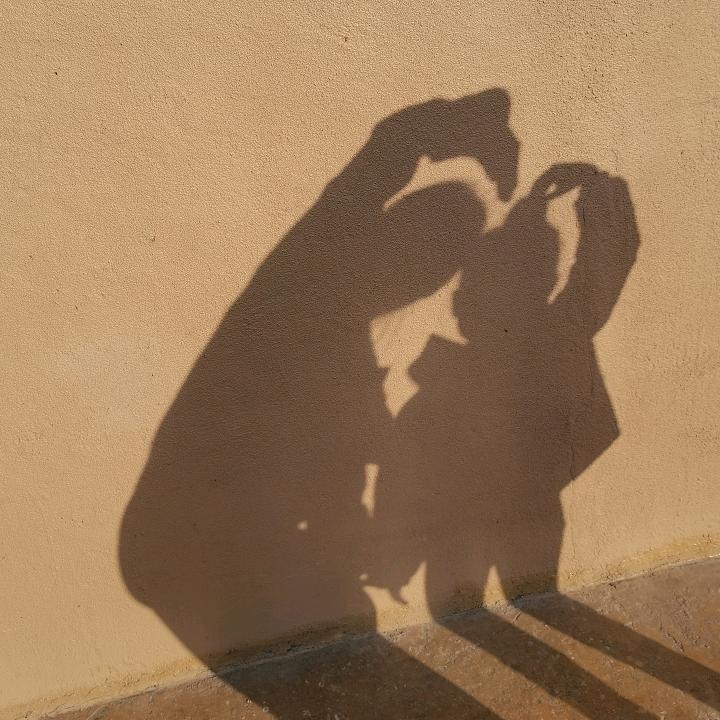 熙熙爸爸讲故事