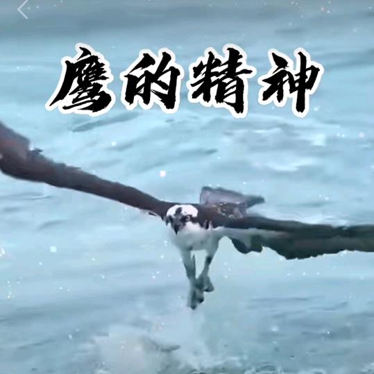 金姐