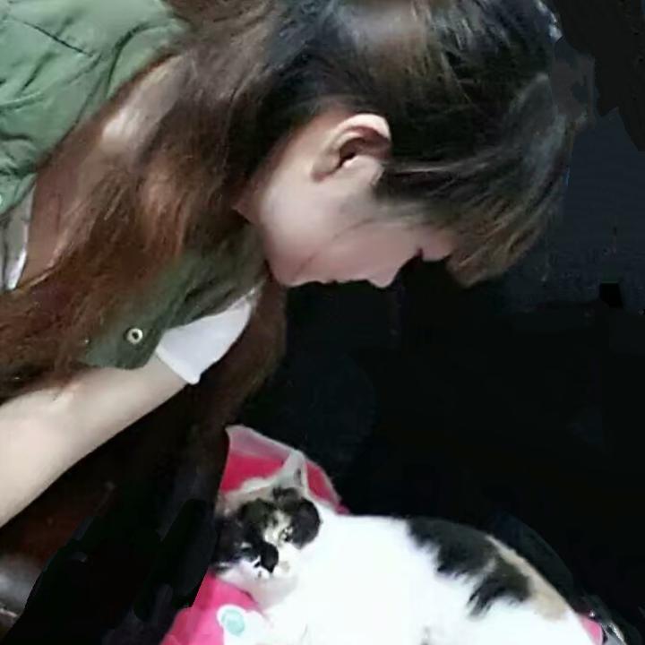 经典🎵