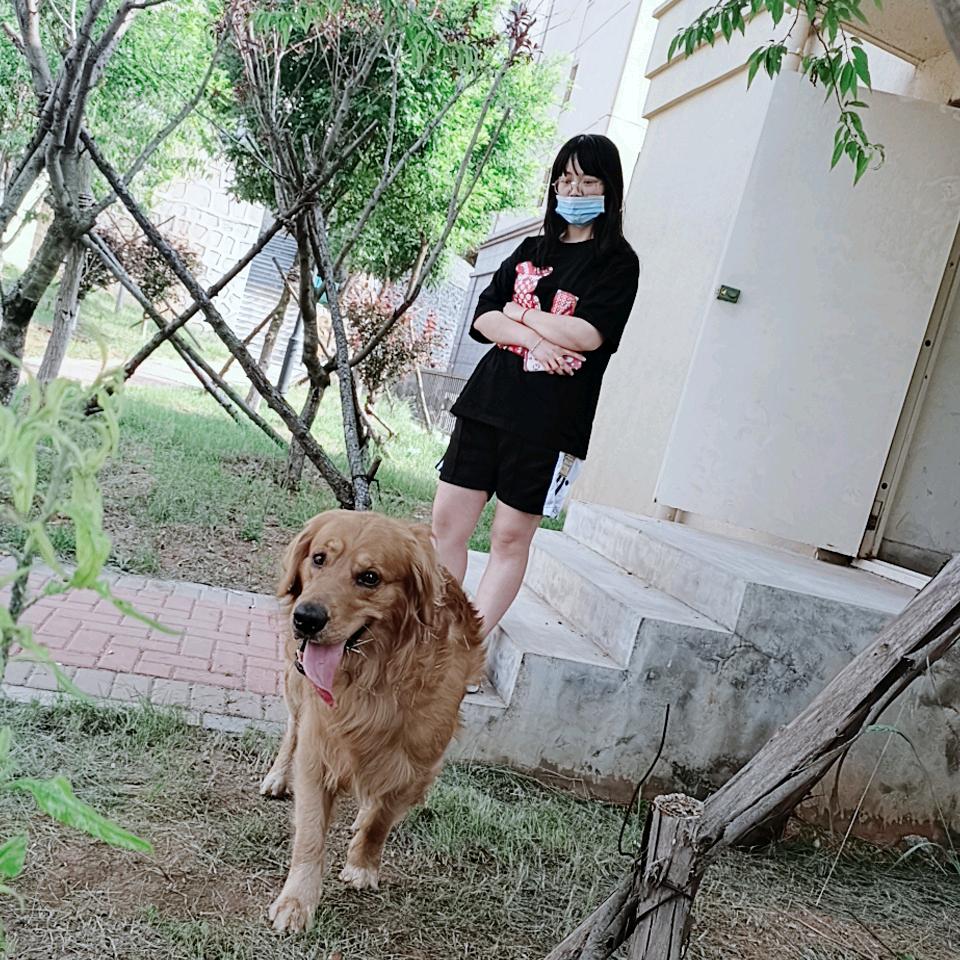 张二噶