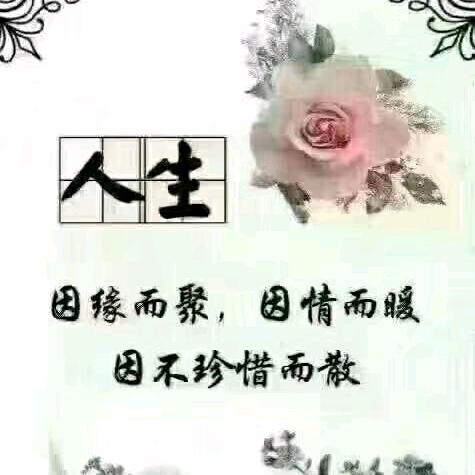 独🌸一🌺吴🌹二🌷