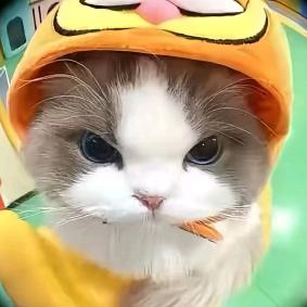 7y