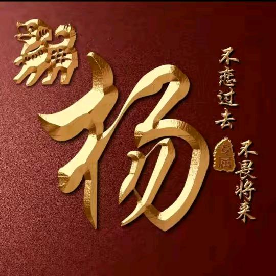 浪子杨哥