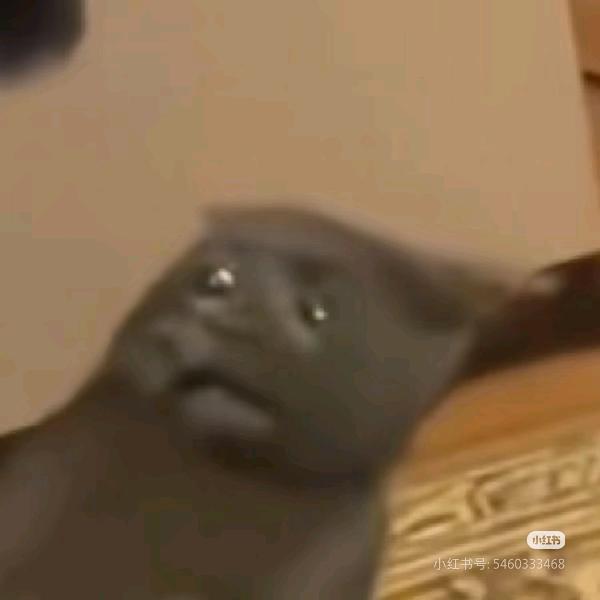 疯狂的potato