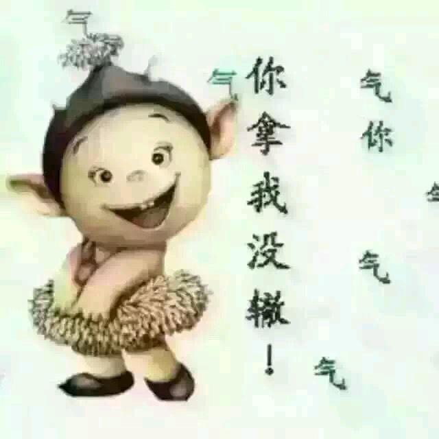 琪琪格