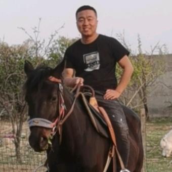 努力吧张哥哥