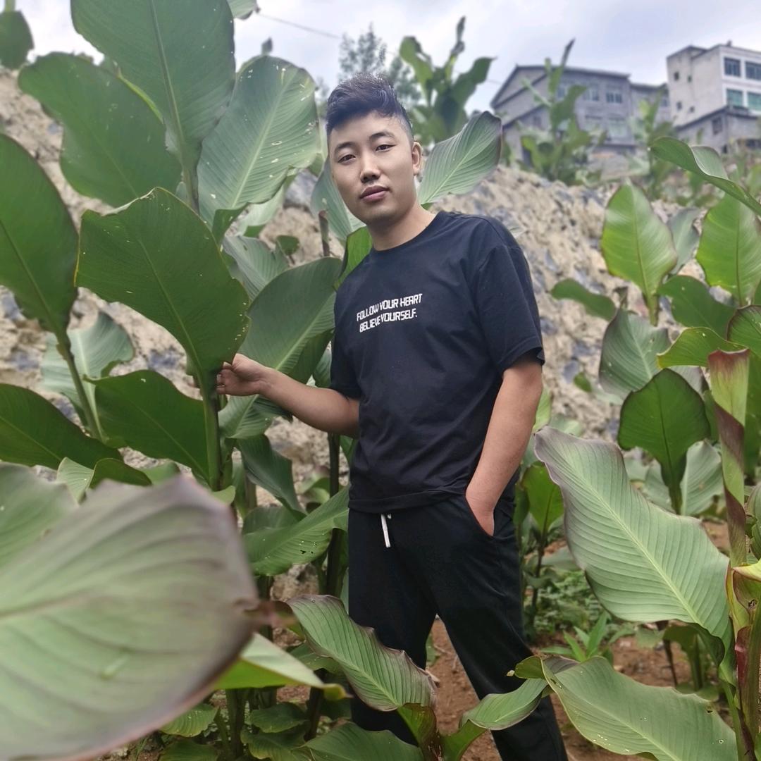 本本儿