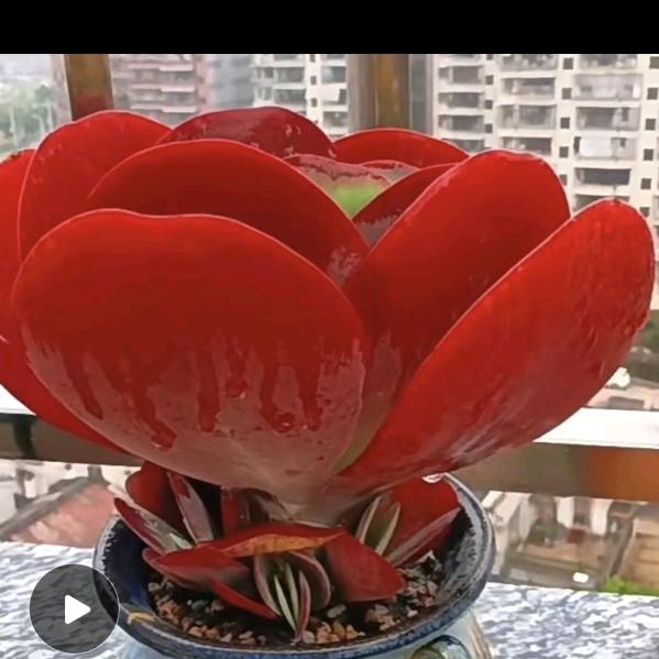 好好好物