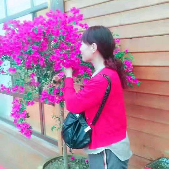 晨之星