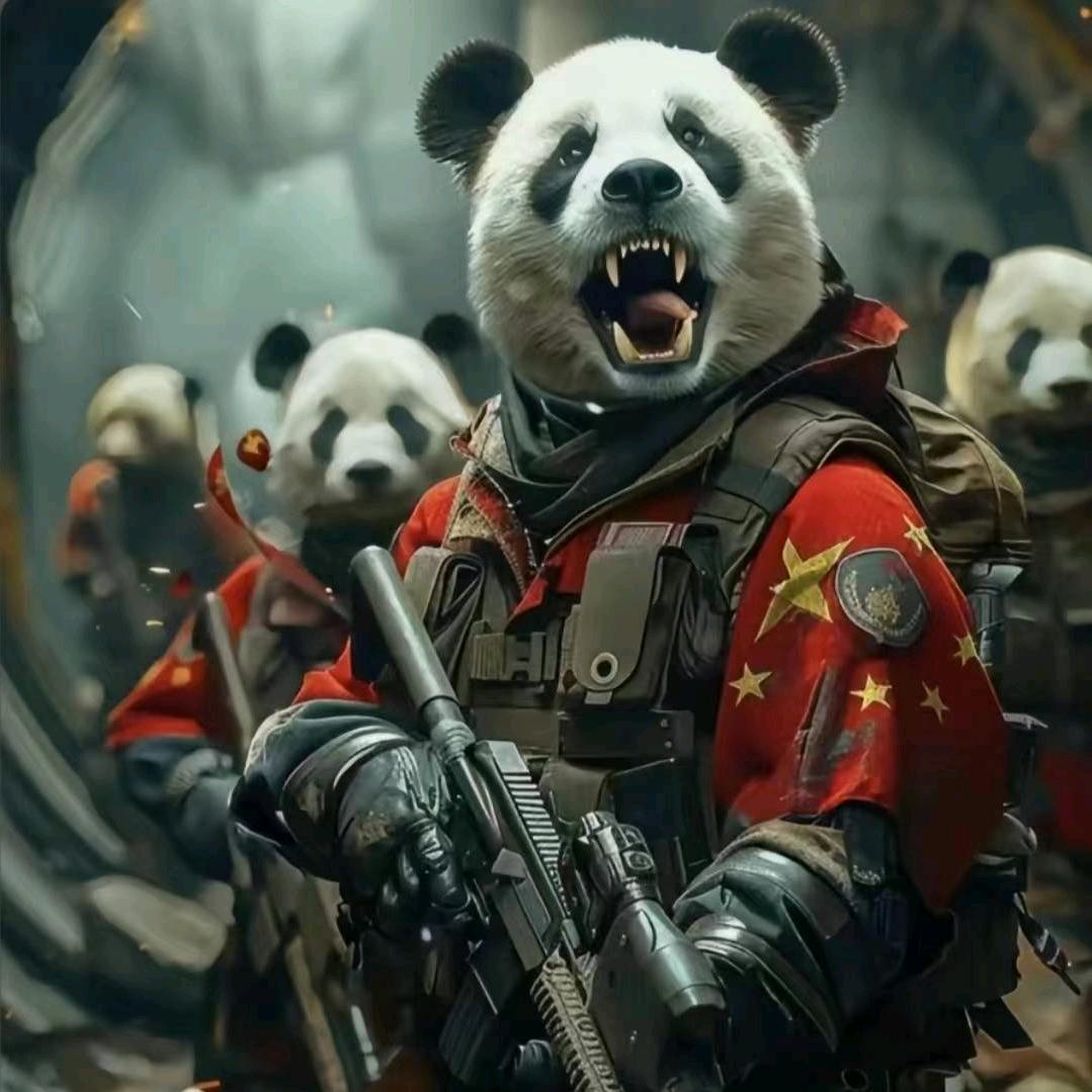 🇨🇳 鸿业聚鑫🔥