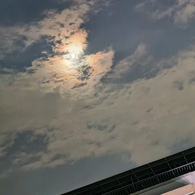 纸上留白