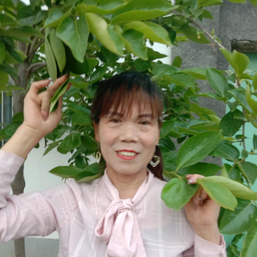 彩云