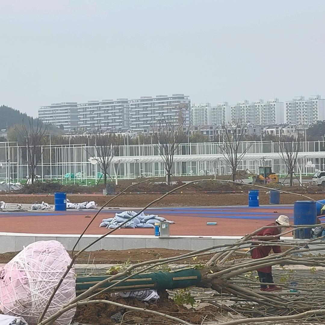 追忆往昔