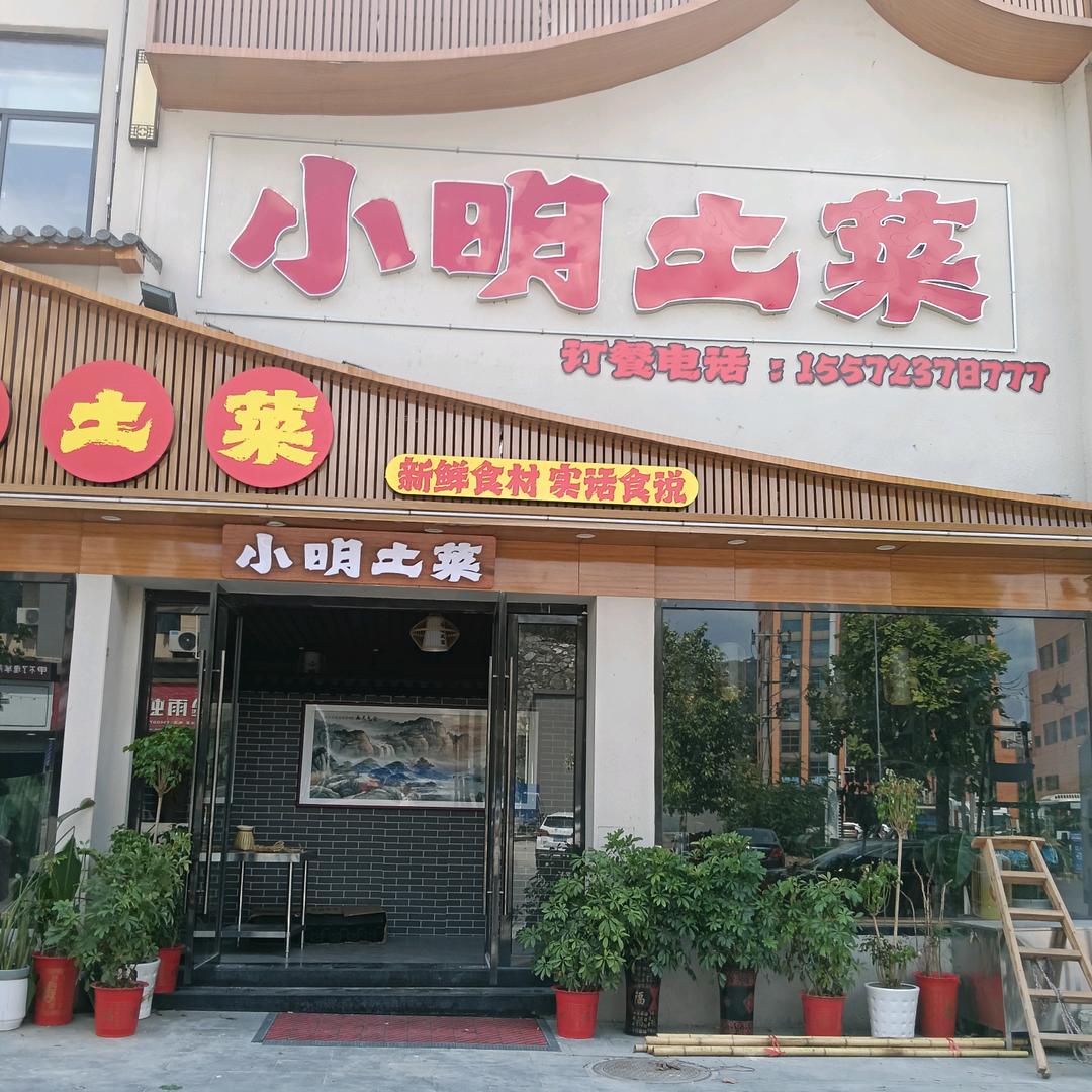 小明土菜