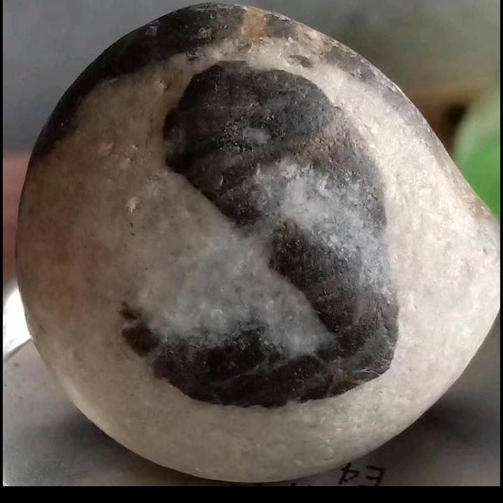 落叶归根m