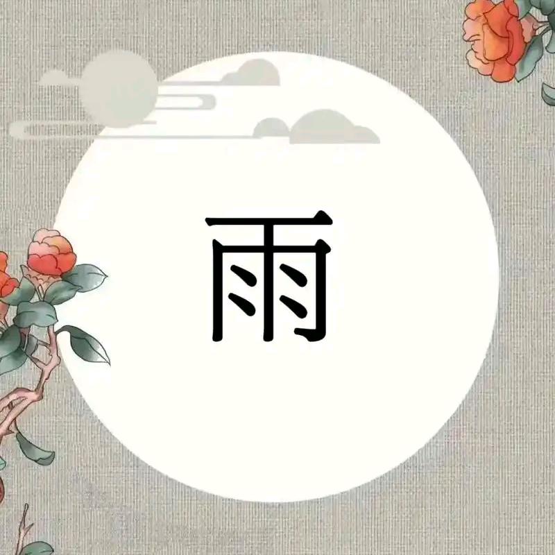 🦊小雨🐍