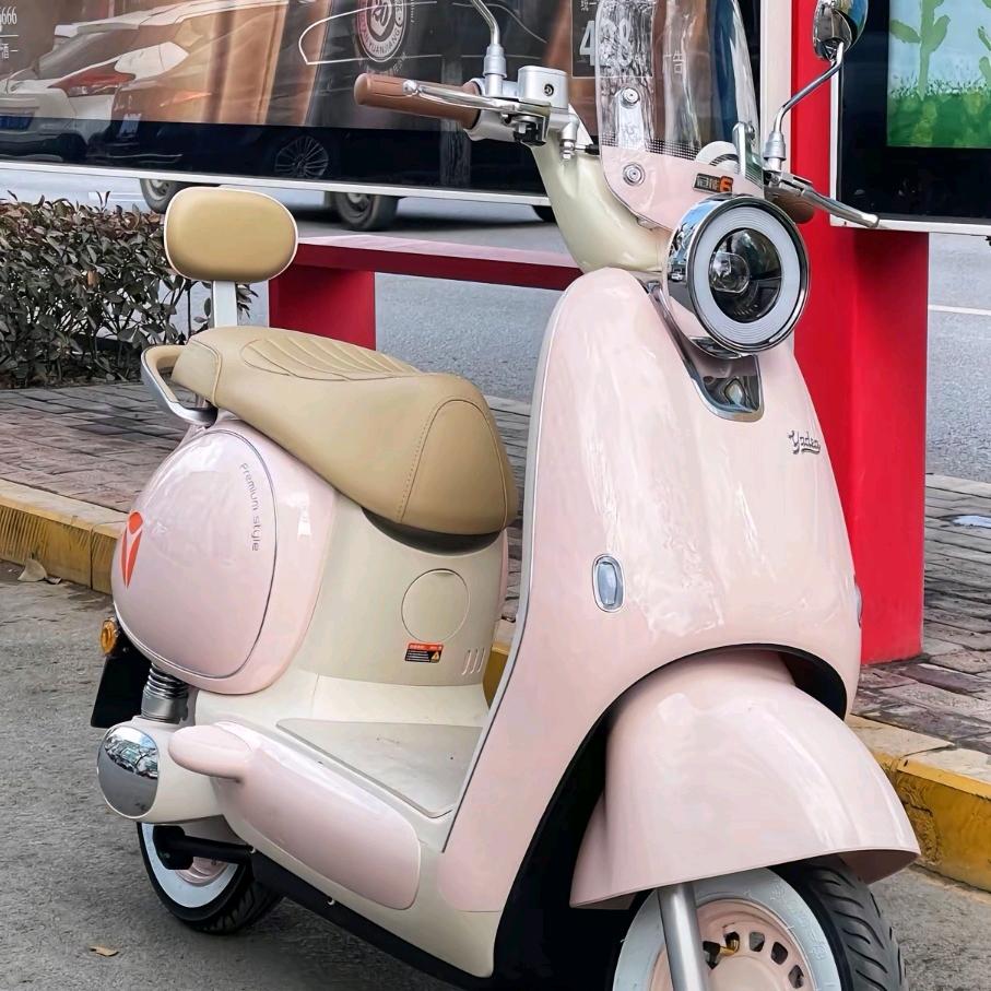 小蓝牌二手电动车—批发、零售