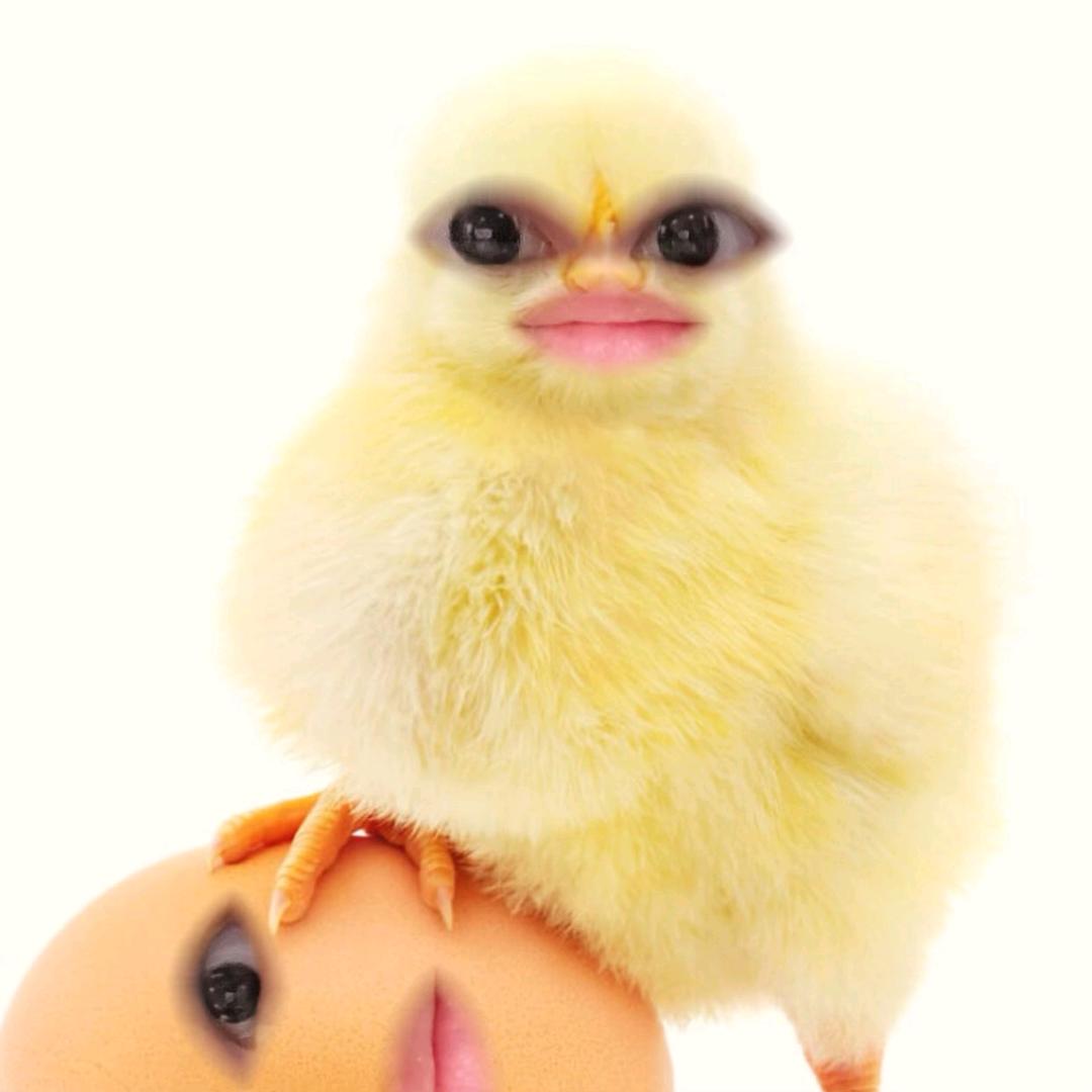 芒果干