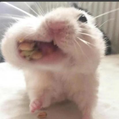 -悲伤烤土豆🥔