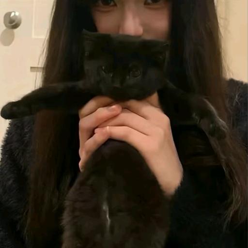 Devil