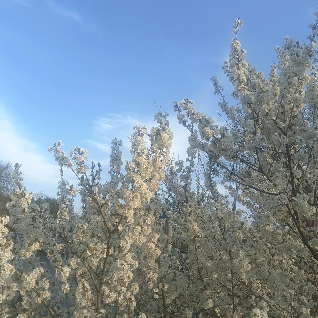 一路向阳