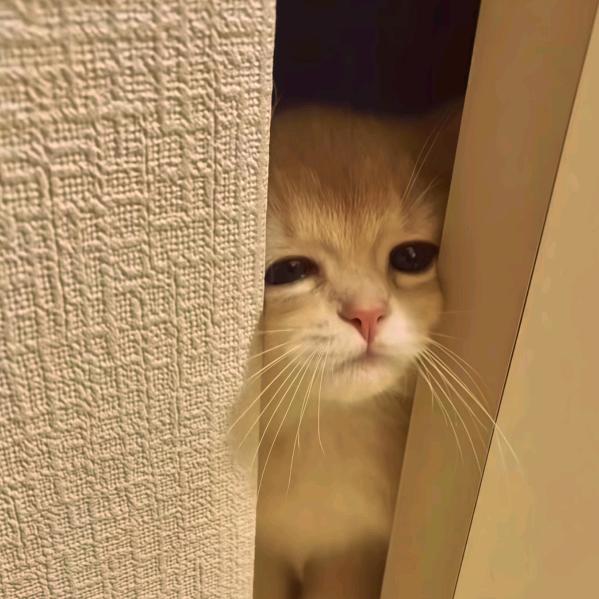 𝓐𝓾:-（