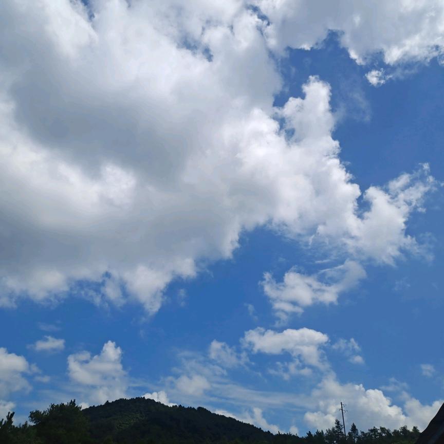 漂流瓶 (⁽(◍˃̵͈̑ᴗ˂̵͈̑)⁽