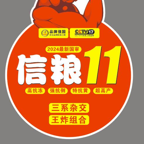 信粮11