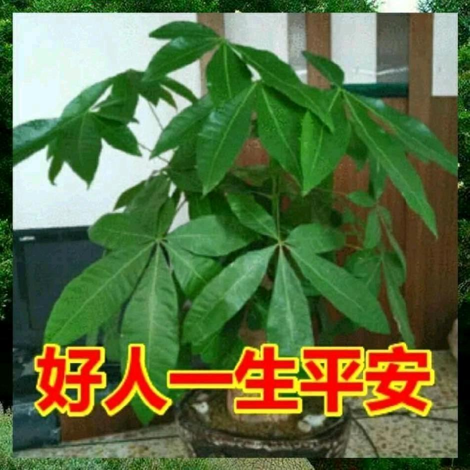 合心想