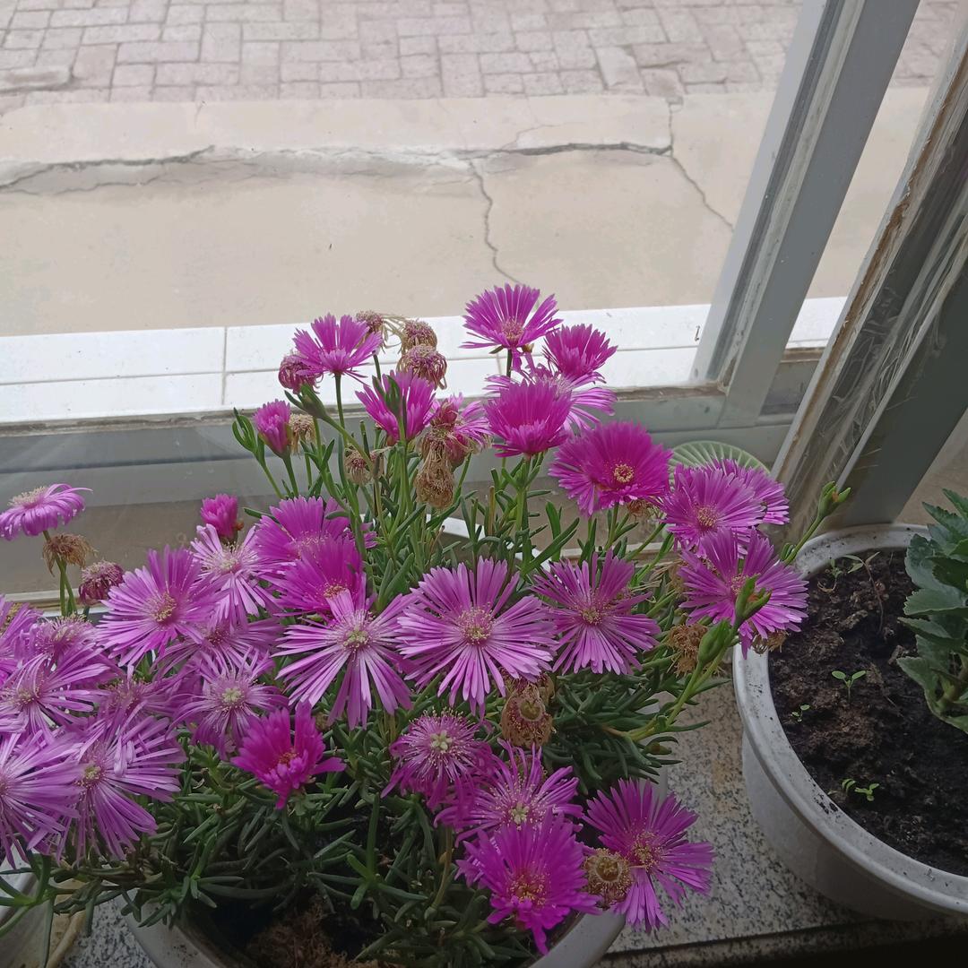 左手寂寞，右手孤独