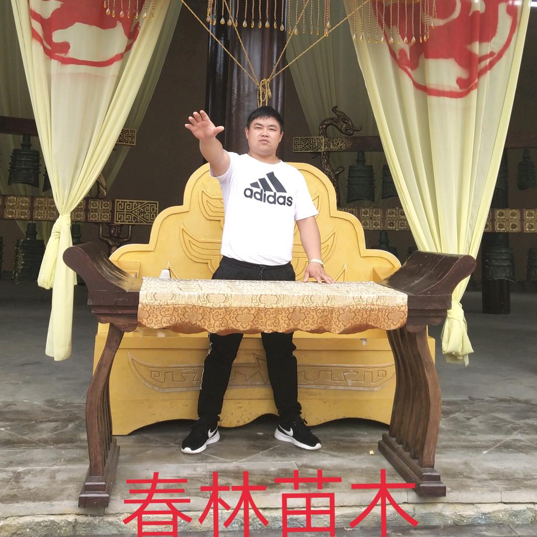 林哥哥  环境艺术刘老师  庭院景观