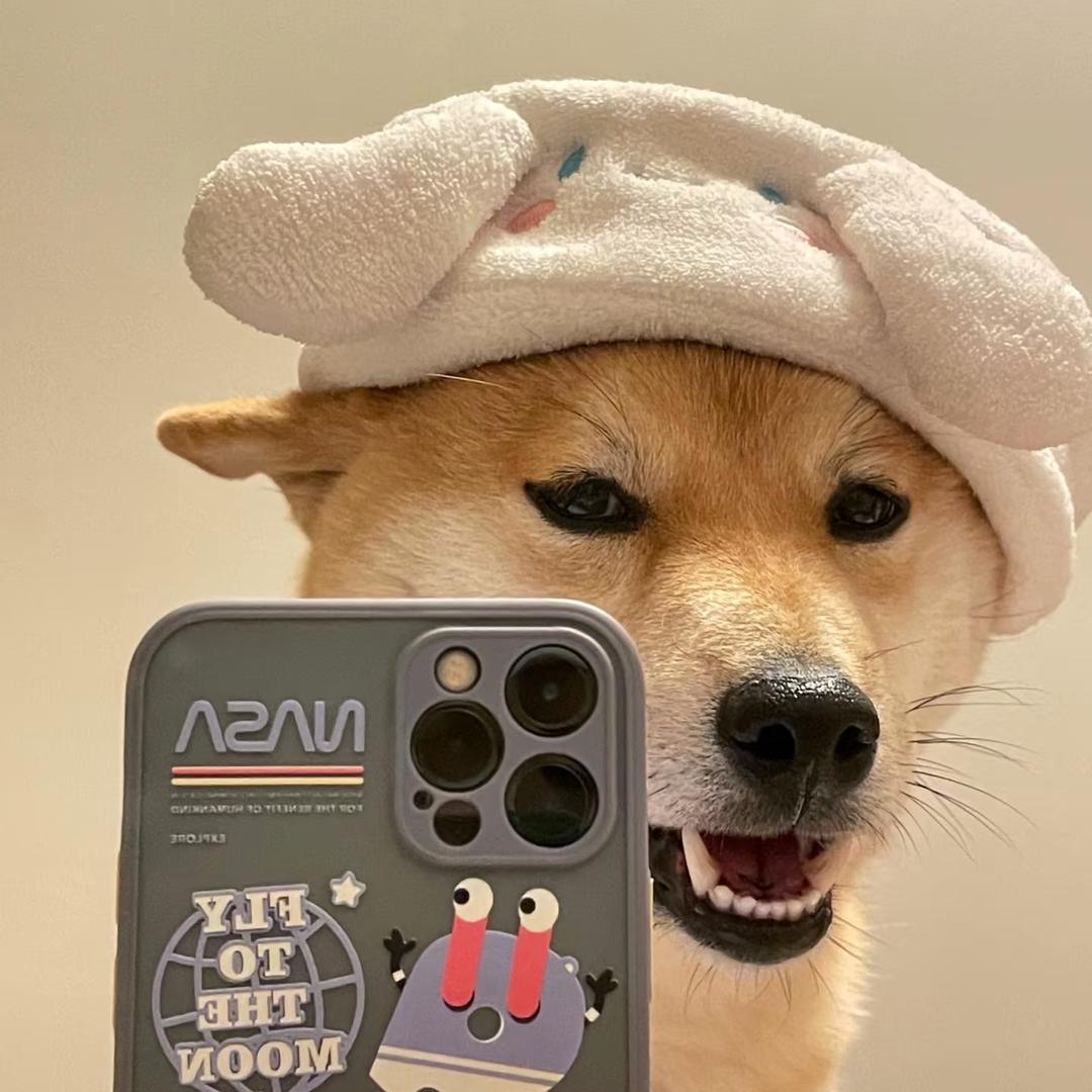 聪明勇敢有力气