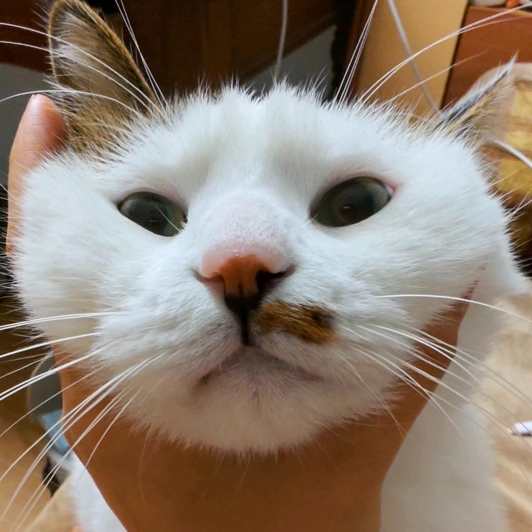 熊小鱼🐟