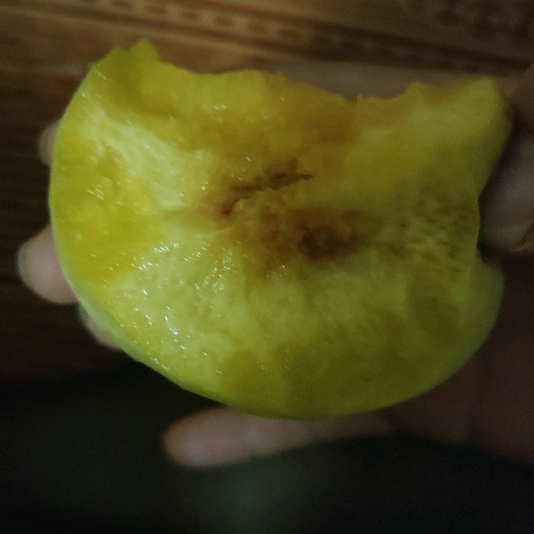 胖    头    鱼