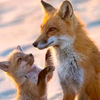 《闫🦊門🦊府》三号