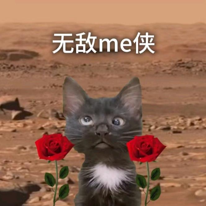 无敌me侠（猫meme）