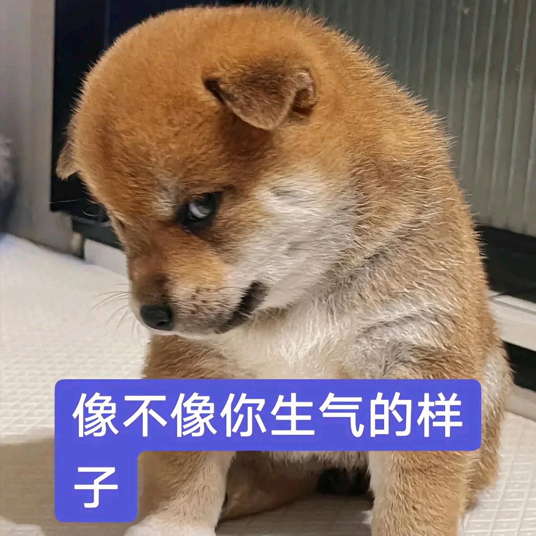 洋葱！！
