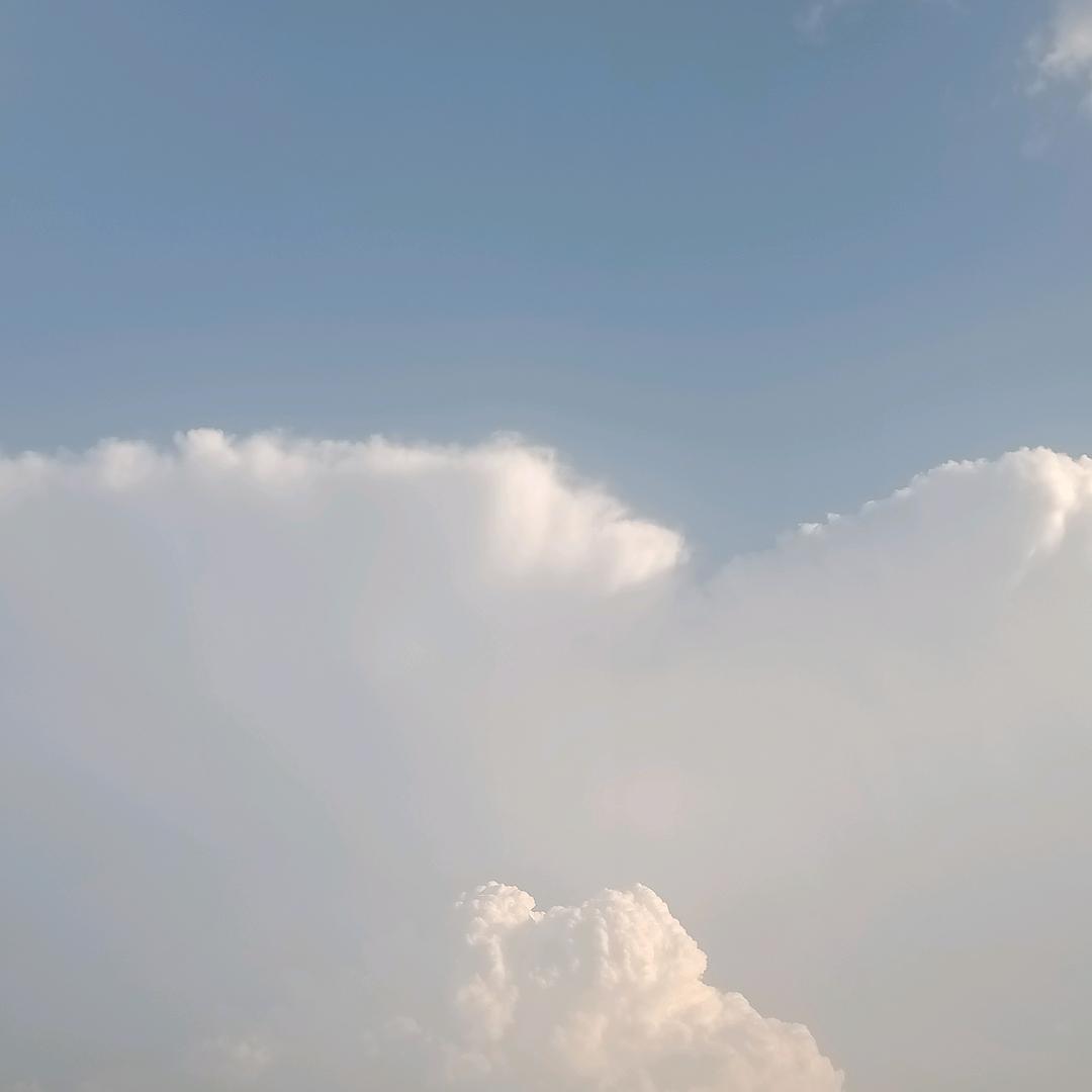 你宝宝