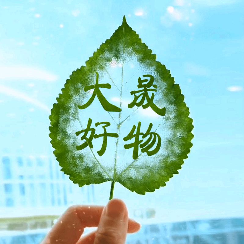 大晟好物