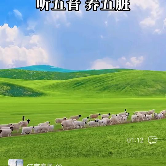 迎客松