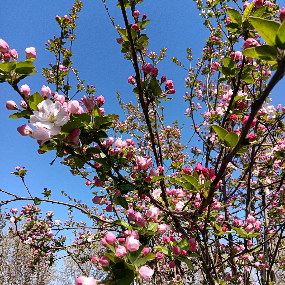 ღ°予我心安᭄