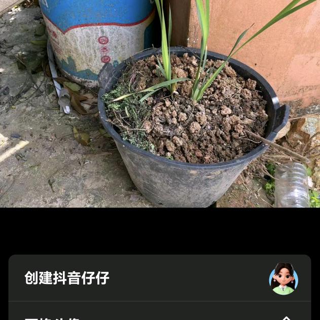 蛇伤中草药传承