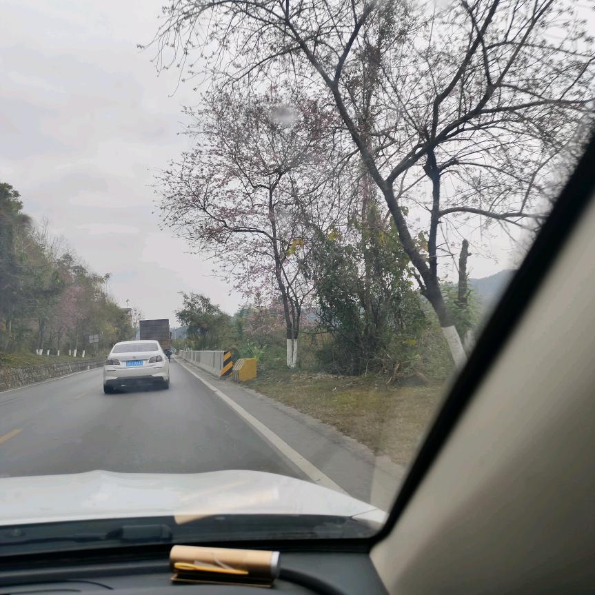 阳光普照
