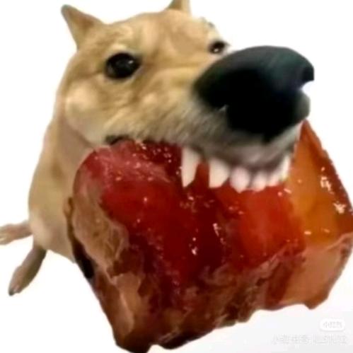 虎斑喵豆包