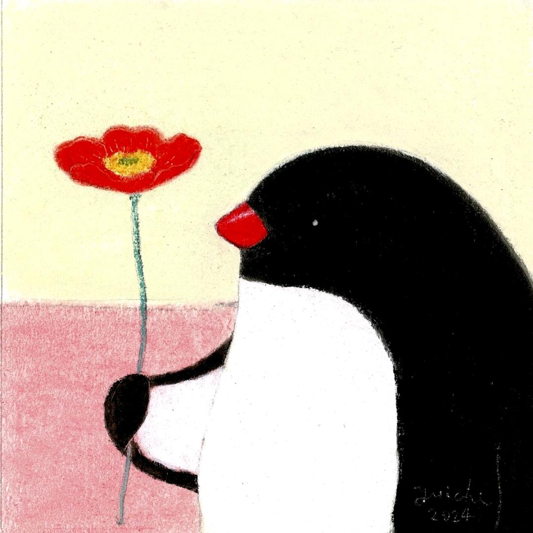 小刚分享