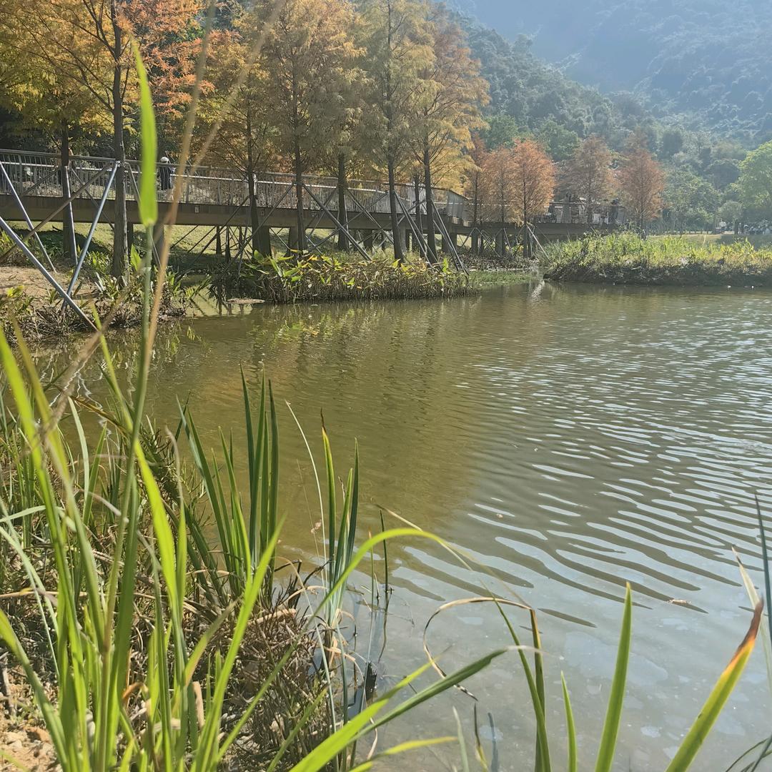 木棉花的百货超市