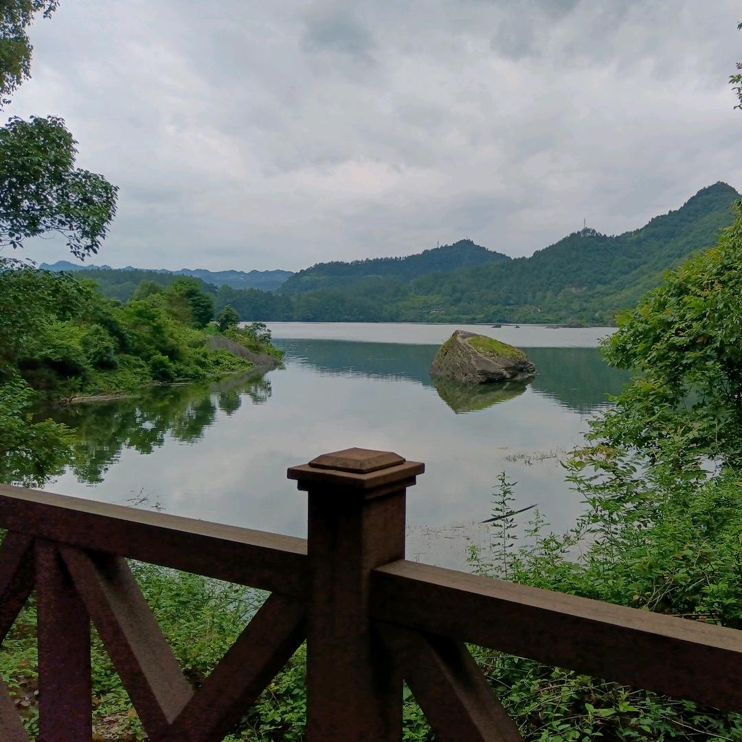 时常想李